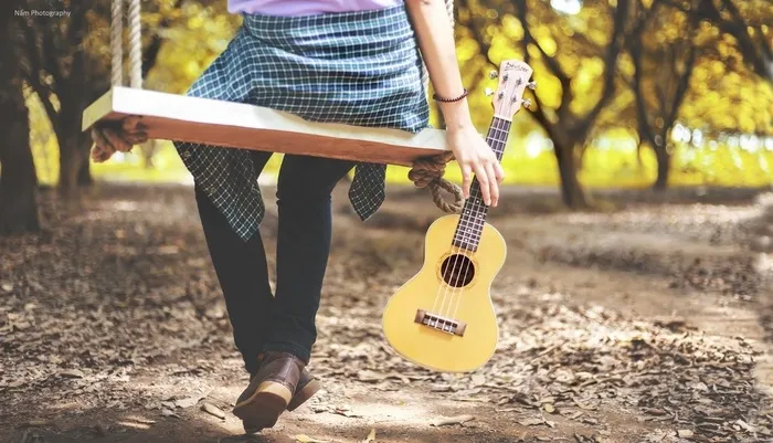 夏威夷四弦琴：*