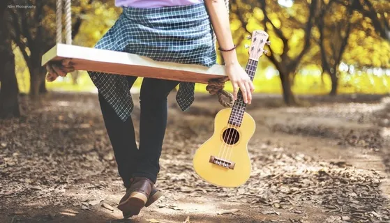 夏威夷四弦琴：*