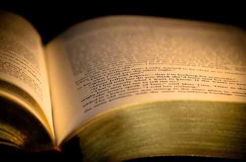 书籍，打开，页面，阅读，教育，文学，教科书