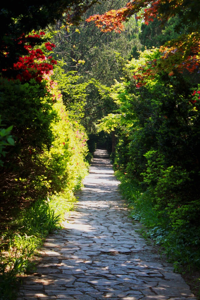 景观，大自然，花园，吉尔，鲜花，木材