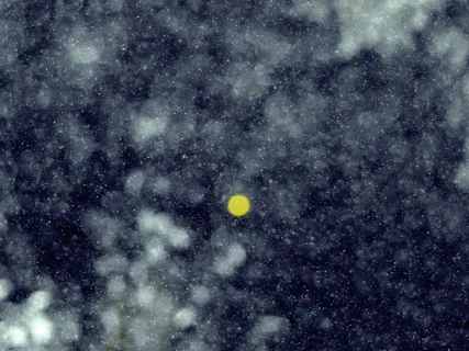 光线，黑暗，影响，黑暗，月亮，夜晚