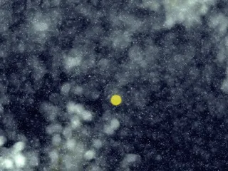 光线，黑暗，影响，黑暗，月亮，夜晚