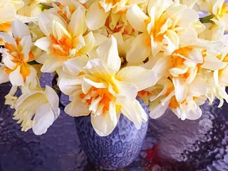 黄色花，春天，夏天，性质，新鲜，盛开