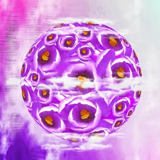 番红花，春天，鲜花，花，紫色，自然