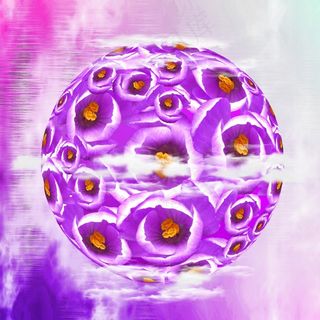 番红花，春天，鲜花，花，紫色，自然