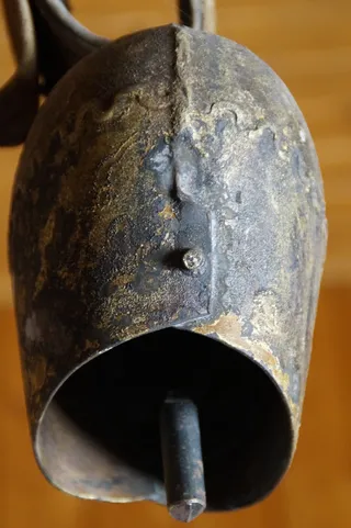 牛仔，贝尔，钳，牛，圆环，声音，比默尔恩，老