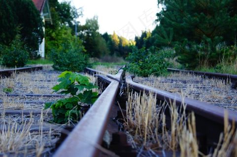 跟踪，似乎，自然，旧，不锈钢，火车站