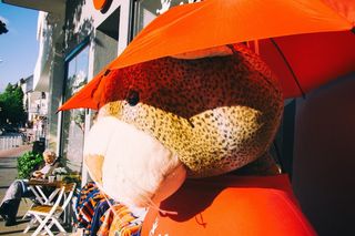 穿戴,鸟类,玩具,台灯,餐厅前的雨伞下的豹玩具