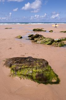 海岸，海滩，石头，海，海藻，冲浪者，冲浪板