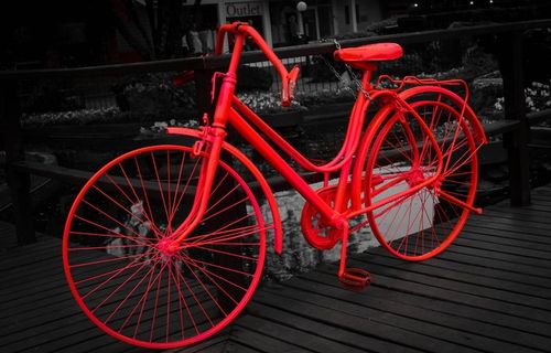 时髦，自行车，复古，罗莎，黑色，白色