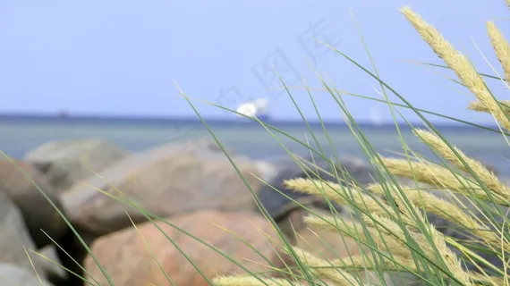 草,失焦,旅游癖,渴望,旅行,船舶 草,失焦,旅游癖,渴望,旅行,船舶
