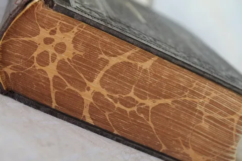 预定，圣经，页，纸，老，圣洁，上帝，古物