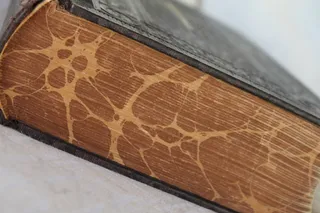 预定，圣经，页，纸，老，圣洁，上帝，古物