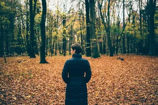 枫树,生态林,银杏,松林,银杏林,在秋天的树林中的女孩