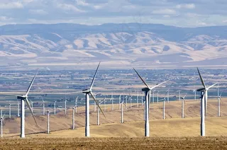 发电机,草原,风车,金属栏杆,窗户,瓦拉瓦拉山谷