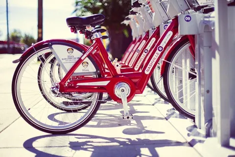 出租自行车,自行车,红色,出租,纳什维尔 出租自行车,自行车,红色,出租,纳什维尔