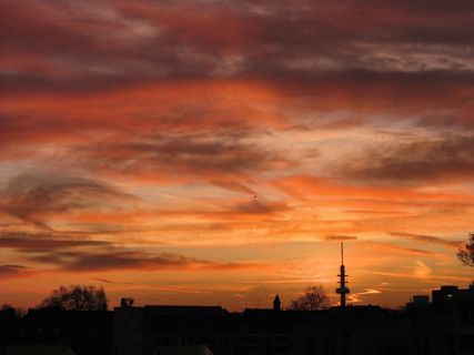 日出，Morgenrot，太阳，天空，橙色