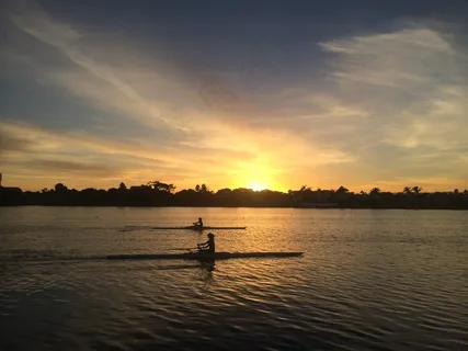 划桨,划船,体育,活动,水,河流 划桨,划船,体育,活动,水,河流