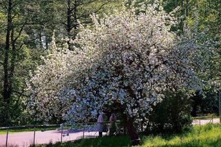 夫妇，爱，温柔，情侣，人，年轻