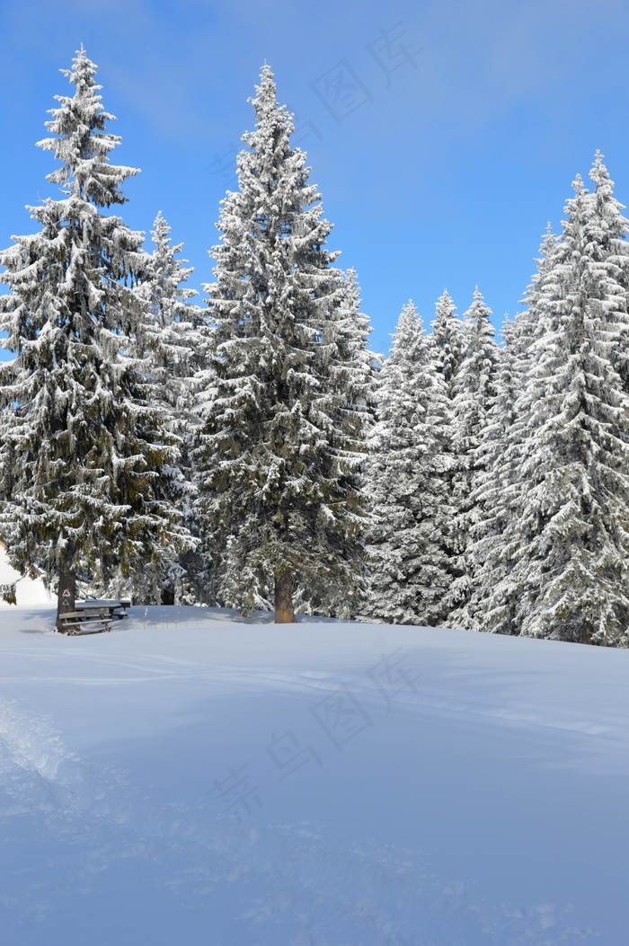 冬天，场面，山，仙境，森林，冷