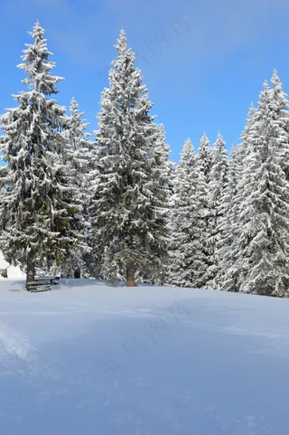 冬天，场面，山，仙境，森林，冷