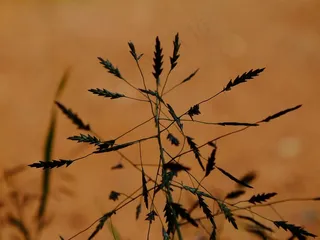 反对，光，城市，颜色，干燥，红色，阴影