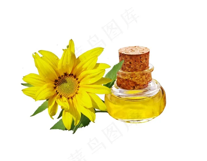 向日葵，葵花籽油，油