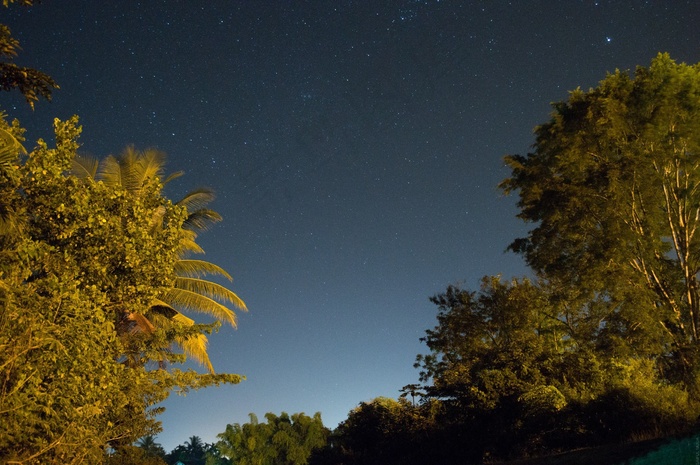 夜空，灯光，夜景，蓝色，长时间曝光，棕榈树