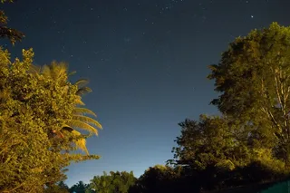 夜空，灯光，夜景，蓝色，长时间曝光，棕榈树