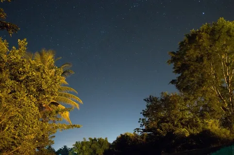 夜空,灯光,夜景,蓝色,长时间曝光,棕榈树 夜空,灯光,夜景,蓝色,长时间曝光,棕榈树