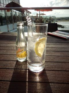 杯子,玻璃杯,瓶子,饮料/饮品,啤酒,杜松子酒和补品