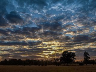 天空，日落，原野，云