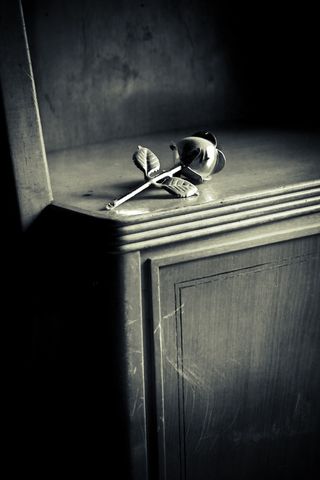 钥匙串,门,吊坠,戒指,螺丝钉,黑色和白色金属木玫瑰