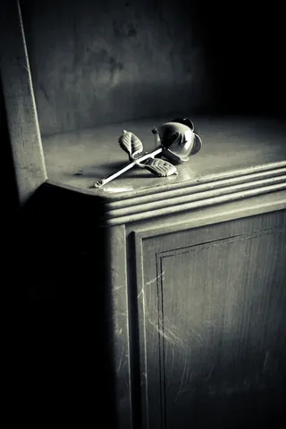 钥匙串,门,吊坠,戒指,螺丝钉,黑色和白色金属木玫瑰