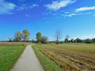 景观，离开，树木，秋季，气氛，天空，蓝色