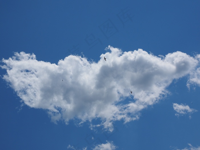 天空，云，蓝色，云形式，白色，积云