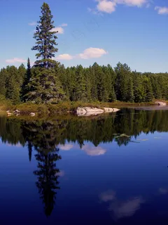 大自然,湖,松,反射,水 大自然,湖,松,反射,水