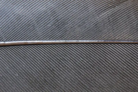 鸟羽毛，春天，钢，钢弹簧，灰色，关闭