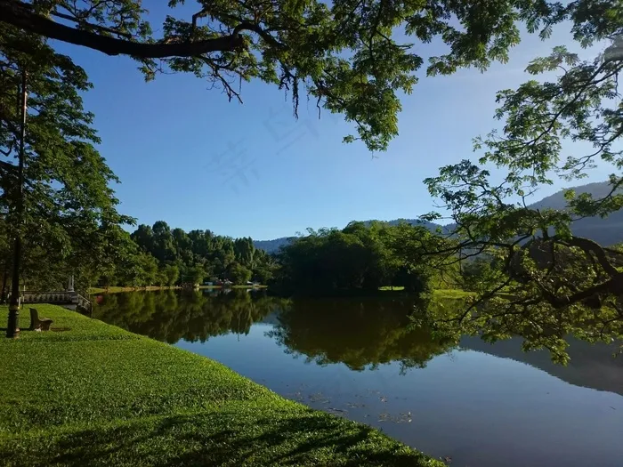 湖，早晨，绿色，自然，水，景观