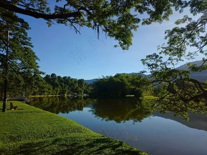 湖，早晨，绿色，自然，水，景观