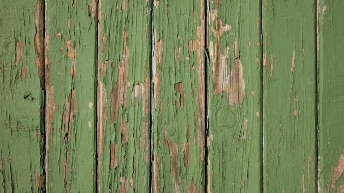 木纹,小麦锈病,模糊图片,门,树,绿色和去皮的木栅栏