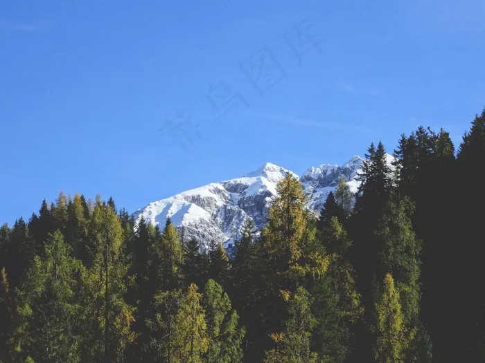 山，雪，雪山，自然，冬天