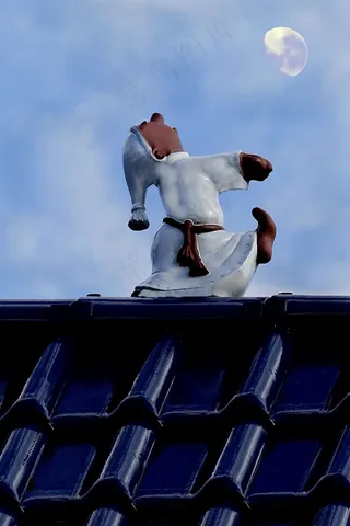 梦游者，无花果，屋顶，天空，月亮，滑稽