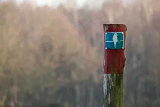 迁徙角色，海德，瓦纳·帕根，徒步旅行，远足