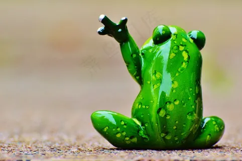 青蛙，波，告别，滑稽，可爱，图，甜