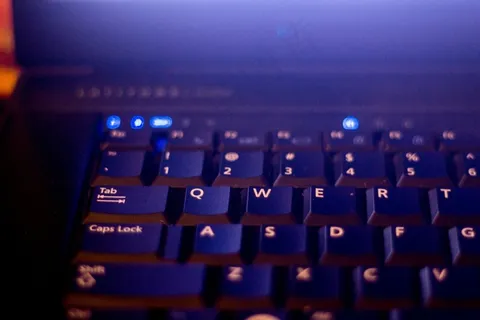 笔记本电脑，电脑，键盘，笔记本，个人电脑，业务