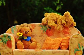 熊，沙发，熊，甜，可爱，毛绒，泰迪，可笑