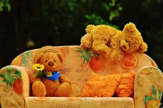 熊，沙发，熊，甜，可爱，毛绒，泰迪，可笑