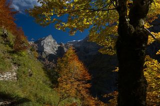 山，自然，风景，秋天风景