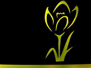 花，郁金香，轮廓，轮廓，黄色，剪影